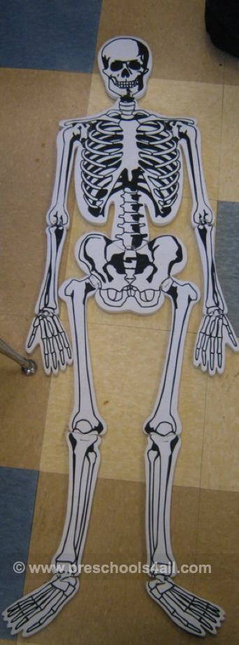 Preschool Lesson Ideas - Human Body Lesson Plans