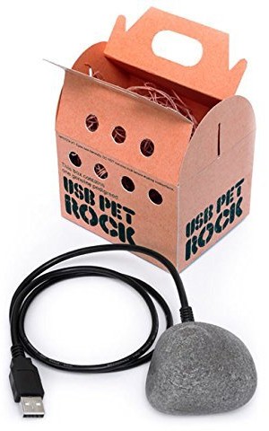 USB Pet Rock