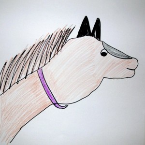 Horse Drawing