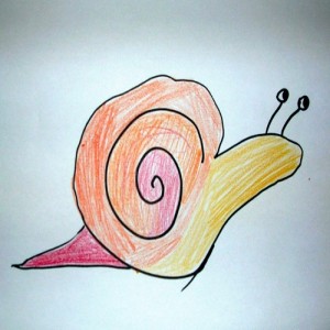 Snail Drawing